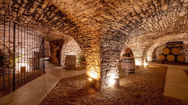 Le Cellier de la Cabiote - Dégustation "Découverte de la Bourgogne"