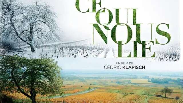 Projection du film "Ce qui nous lie"