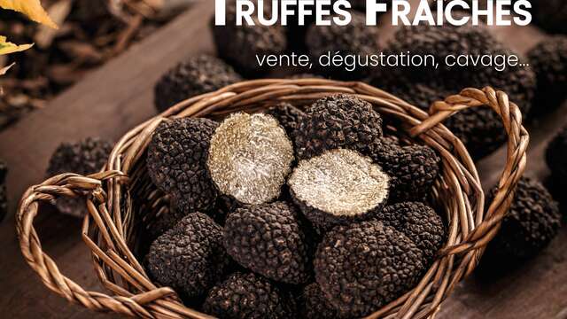 Marché au Truffes