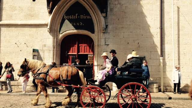 Attelage Beaune Passion - Balade "Prestige" en calèche