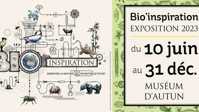 Exposition Temporaire : Bio'Inspiration, Observer la nature & Inventer le futur
