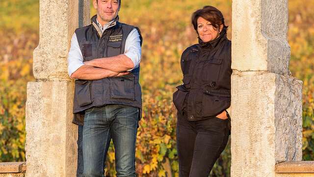 Wine Tour d’Exception : Dégustation parcellaire au cœur du Domaine Jean Chartron