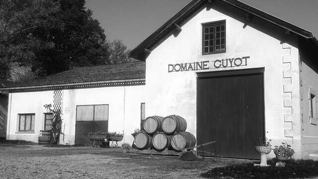 Domaine Guyot Baptiste