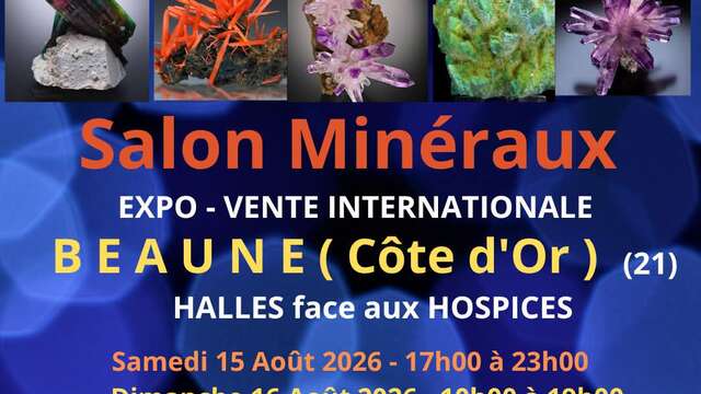 Salon Minéraux