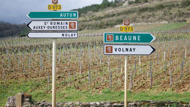 Circuit "à la découverte de la gastronomie Bourguignonne"