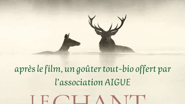 Projection : "Le chant des forêts"
