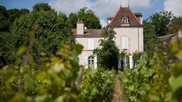 Caveau et Table d'Hôtes du Comte  Senard