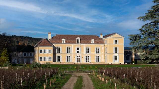 Les saveurs du Château de Meursault