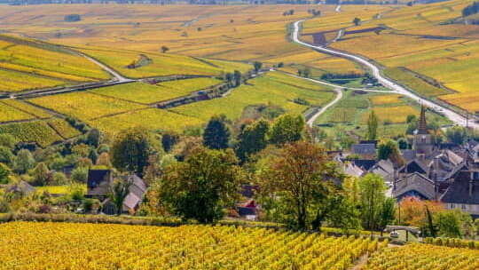 Wine and Tours - Séjour en Côte de Beaune- 1 jour  / 1 nuit