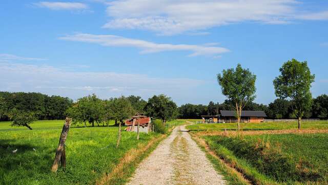 Boucle pédestre de Loëx