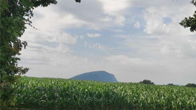 Escapade dans la campagne Suisse