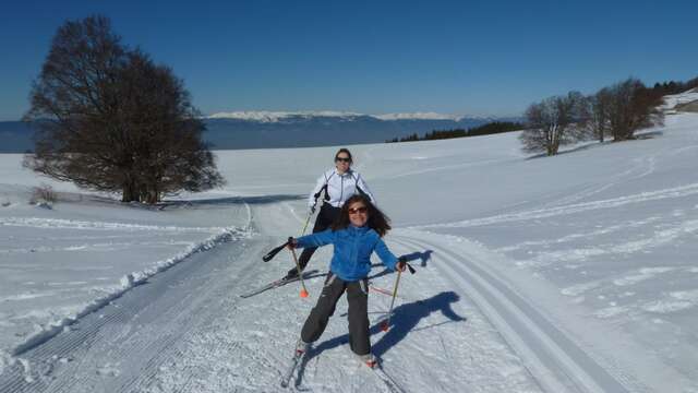 Ski de fond à la Croisette - Piste bleue - Les pitons