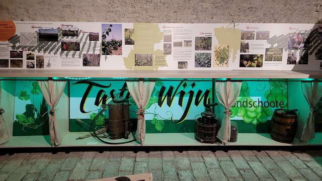 Le musée des vendanges "Jean-Pierre Pinceel" à Hondschoote