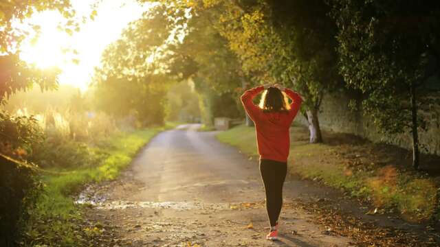 Après-midi Bien Hêtre à Cassel pour les adultes