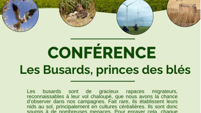 Conférence, les busards Prince des blés
