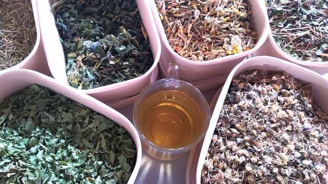 Atelier historique: "Soins pendant la guerre" avec Chuchotements de fleurs