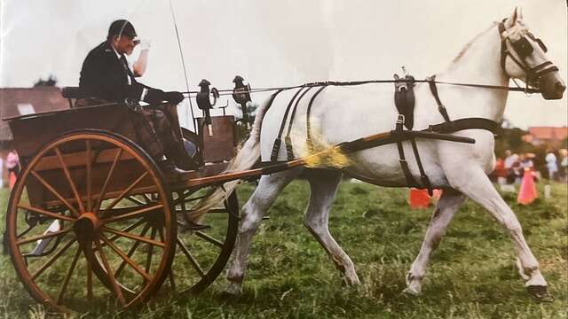 Fête de l'attelage 2026 à Berthen