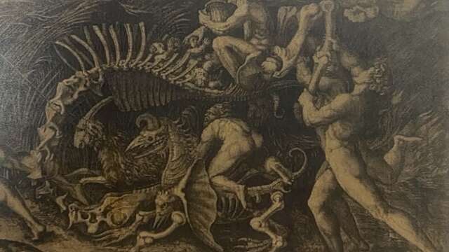 Conférence "Sorcières" par Edith Marcq