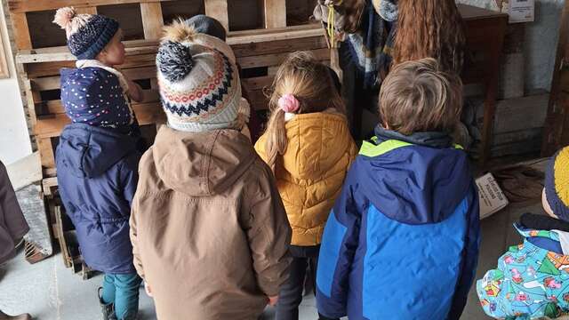 Visite guidée « Zélie, la petite souris, cherche un abri » au Musée de la Vie Rurale