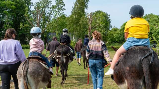 Randonnée accompagnée avec 1 âne