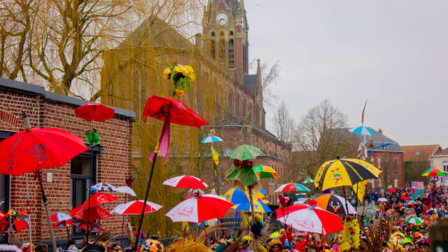 Carnaval de Godewaersvelde