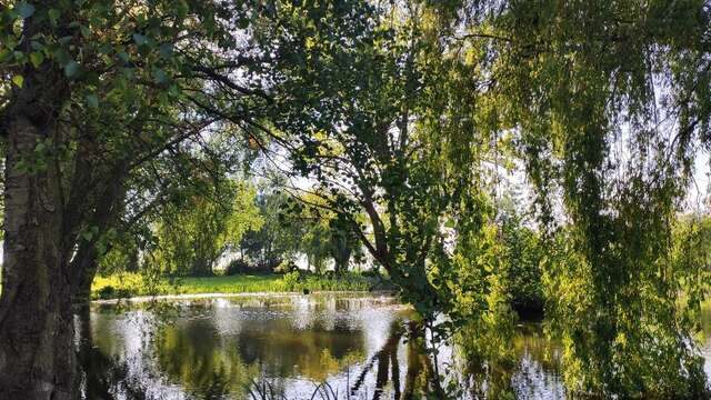 Jardin d'eau et de poésie