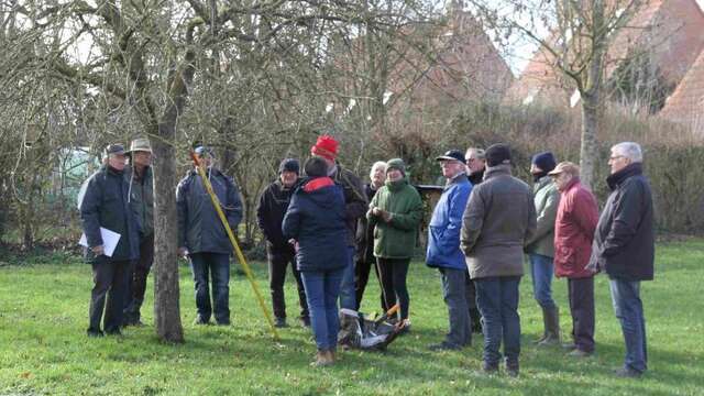Stage de taille des arbres fruitiers au Musée de la vie rurale