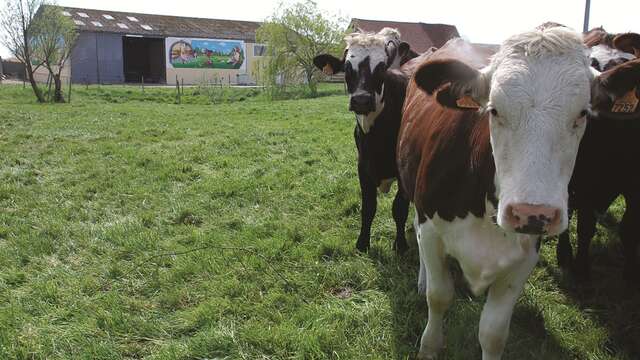 Ferme Ronckier