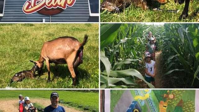Activités d'été à la ferme des Récollets