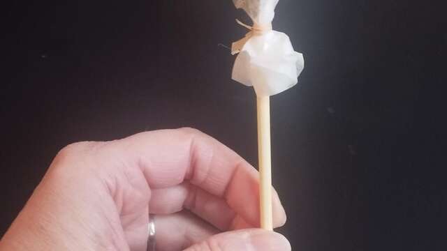 Atelier création de sucette à infuser avec chuchotements de fleurs