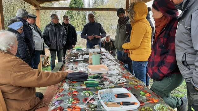 Atelier de greffage aux Jardins du cygne