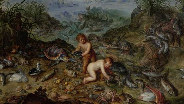 Parcours famille "À la poursuite des éléments" au Musée de Flandre