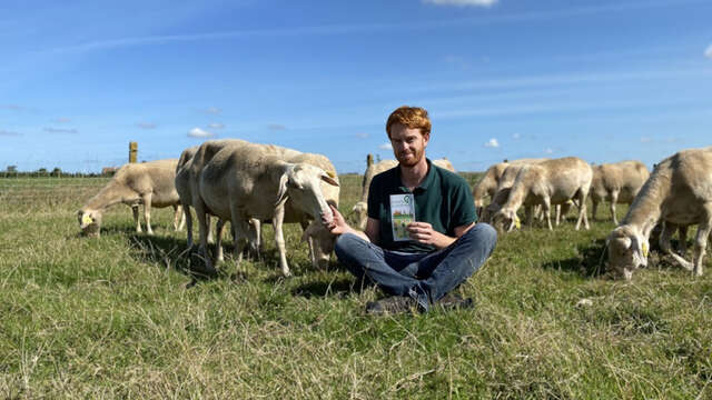 Découverte d'un élevage de brebis et dégustation à Hondschoote