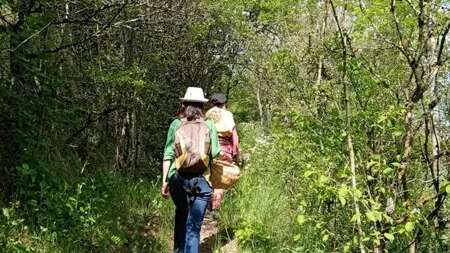 Atelier : Cuisine sauvage