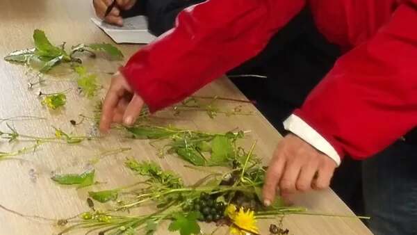 Capucine et Marjolaine- Découverte de la nature et conseillère en santé naturelle