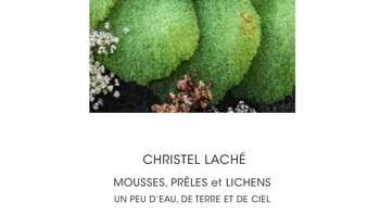Exposition Christel Laché  à la Menuiserie