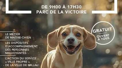 Journée nationale du chien