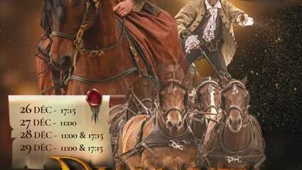 Spectacle équestre Le Diamant des Mousquetaires