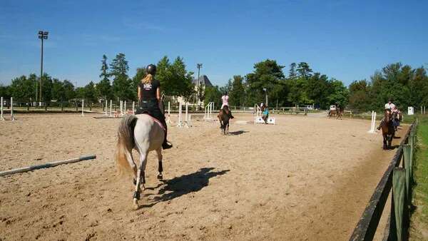 Concours de Dressage