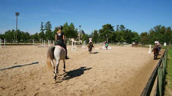 Concours d’attelage