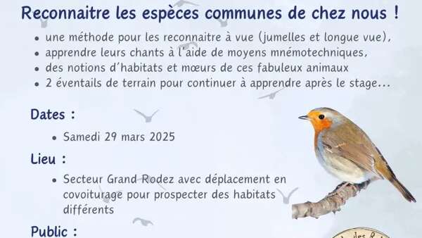 Stage nature ornithologie