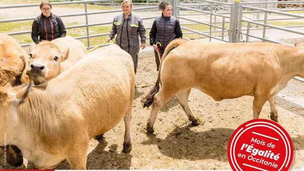 Table Ronde Agri-Égalité : Réflexions sur la Place des Femmes en Agriculture