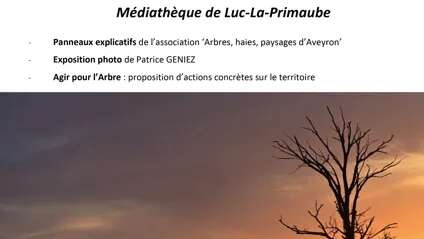 Visite guidée et échange "Amène ton plant-amène ton plat"