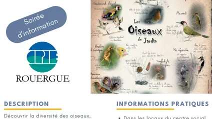 Soirée d'information nature sur les oiseaux