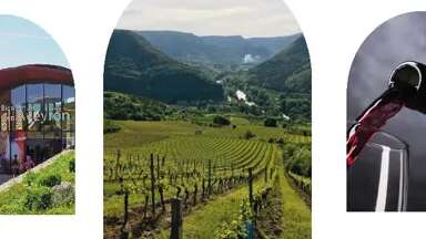 Aveyron Wine Tour