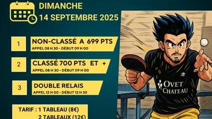 Tournoi de tennis de table