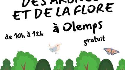 Animation sur les arbres et la flore