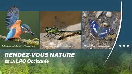 Les oiseaux du cirque de Saint-Marcellin - LPO