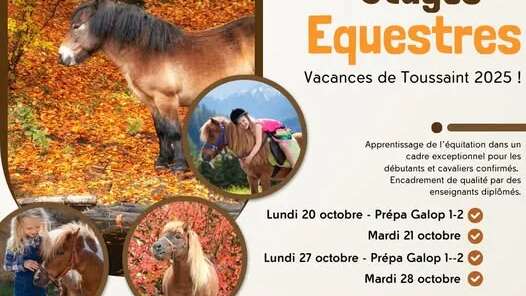 Stage d'équitation enfants et ados à la Salvage - vacances de la Toussaint