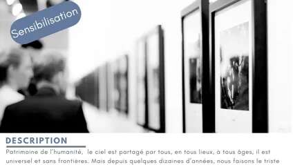 Exposition Songe d'une nuit étoilée